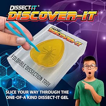 Slimy - 38088 - Dissect-it Insecten