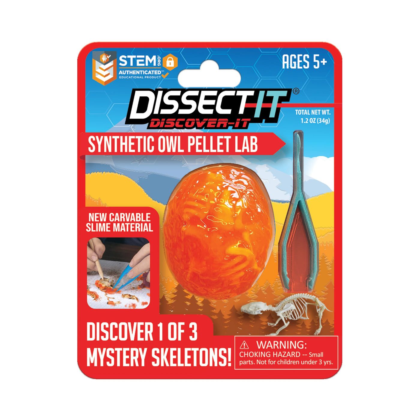 Slimy - 38090 - Dissect-it - Skeletten